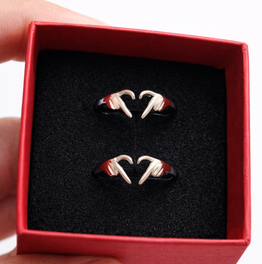 Anillo Amor Eterno 2x1